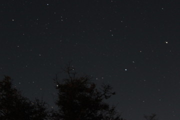 CIELO NOCTURNO