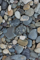 cobblestone on the beach