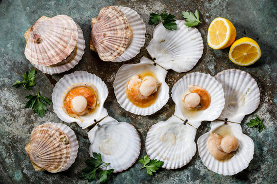 รูปภาพCockleshells – เลือกดูภาพถ่ายสต็อก เวกเตอร์ และวิดีโอ40,982 ...
