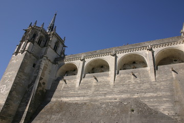 Château médiéval d'Amboise-5