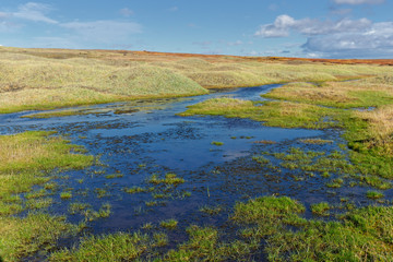 Fototapeta na wymiar Landschaft in der Nähe des Myvatn, Island