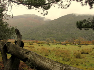 predio con pastizales y al fondo se ven las montañas