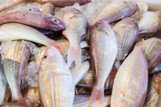 Threadfin Bream red fish sell in fresh traditional fishery market