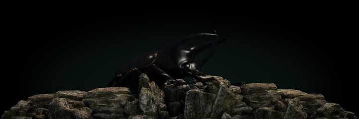 Fototapeta premium Dynastes hercules at sunset. 3d rendering