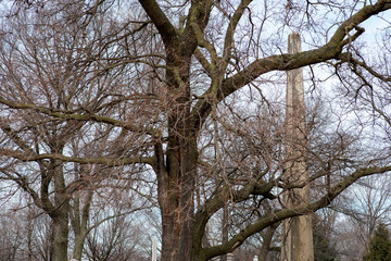 Beautiful Vintage Sculpture at old Catholic cemetery.