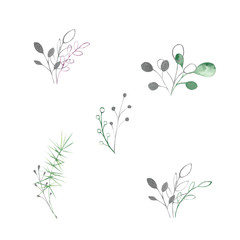 Watercolor silver, green, purple, violet leaves and branches on a white background. Ideal for cards and invitations.
