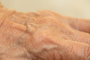 Senior woman's wrinkled skin texture of blood in back of the hand, Close up & Macro shot, Selective focus, Body part, Healthcare concept