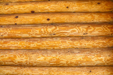 wood texture with pattern for background or Wallpaper
