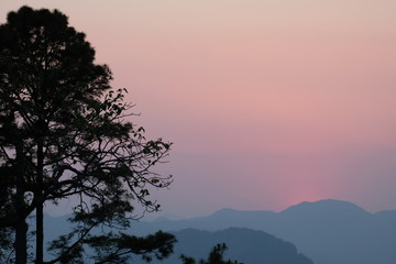 Sunset behind mountain in the evening with silhouette of pine tree.