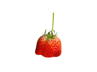 Fresh ripe strawberry isolated on white background. Beautiful color shade from white to red and exotic shape.
