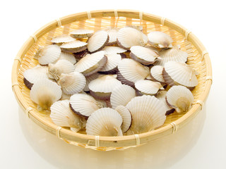 帆立稚貝 帆立 稚貝