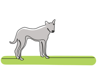 Fototapeta premium continuous line drawing of standing young dog