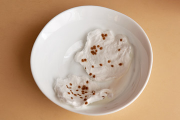 tomato seeds ready for planting lie on white wet gauze on a white plate on a cream table
