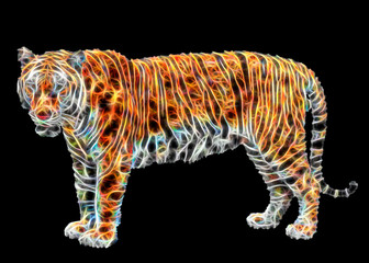 Abstract Tiger on black background.