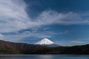 西湖湖畔からの青木ヶ原樹海と富士山
