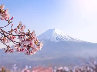 Fototapeten Japanische Sakura-Kirschblüten blühen mit dem Fuji-Berg und dem Kawaguchi-See im Hintergrund. © kuremo