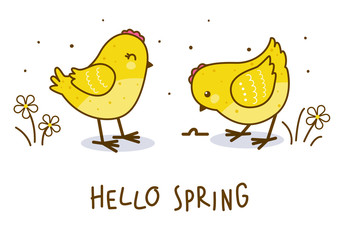 Cute chickens isolated on white background