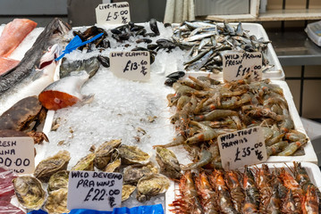 Clamms and crustaceans for sale at a market