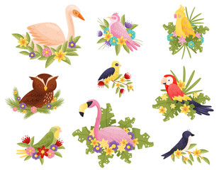 Obraz premium Birds ollection on white background. Animals and spring.