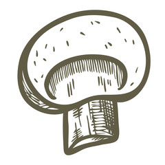 Hand drawn illustration sketch style champignon mushroom composition icon. Vector icons for web design. Farm fresh food isolated on white background. Doodle style mushroom