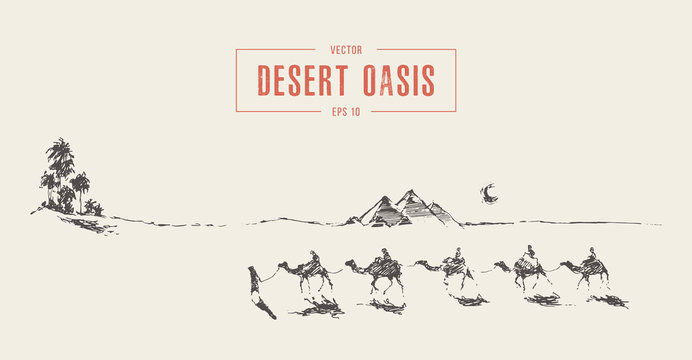 Caravan camels walking towards oasis desert vector