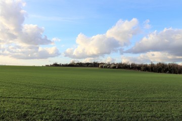 VILLE DE CORBAS - RHONE - CHAMP CULTIVABLE