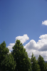 夏　夏の雲