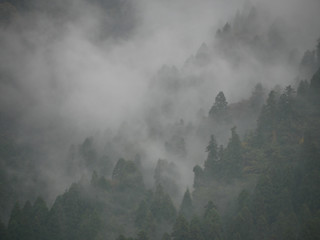 霧の山