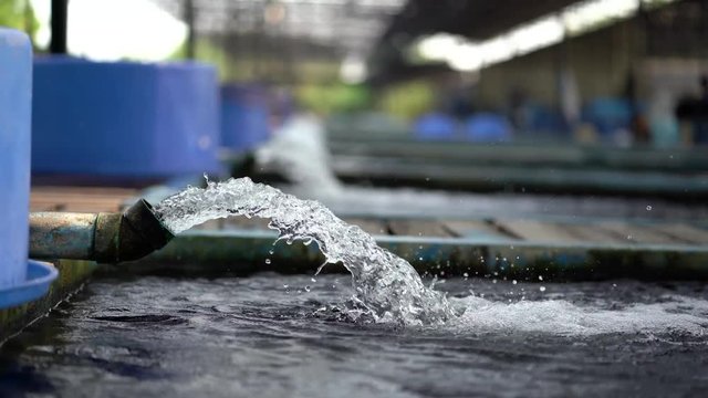 Water flow treatment system from the water pump pipe.Motion of water gushing out of the pipe from Koi Pond Carp fish farm for oxygen.Water was drain by tube pvc.Industrial wastewater treatment.