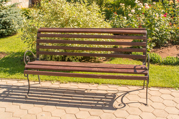 Beautiful old brown bench in the park, summer day, green trees