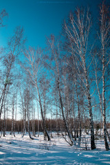 Nature Chelyabinsk region