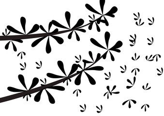 dark tone of leaf isolated on white background