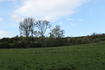 Nature, photo Czech republic, Europe