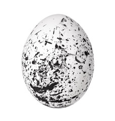 Colorful Easter Egg isolated on white