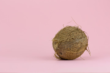 A whole coconut on a gently pink background. The concept of good nutrition