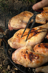 chicken on the grill
