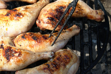 chicken on the grill