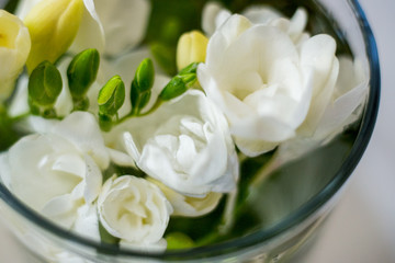 Obraz na płótnie Canvas white freesia flowers in a glass, top view, different focus