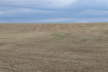 Fototapeta na wymiar Summer landscape, photo Czech Republic