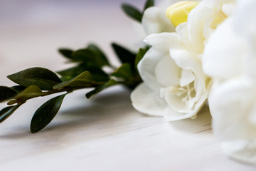 White freesia flowers on the board, different focus