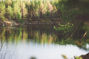 lake in forest