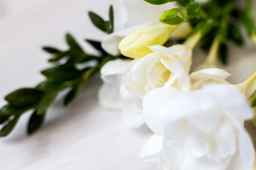 Obraz na płótnie Canvas White freesia flowers on the board, different focus