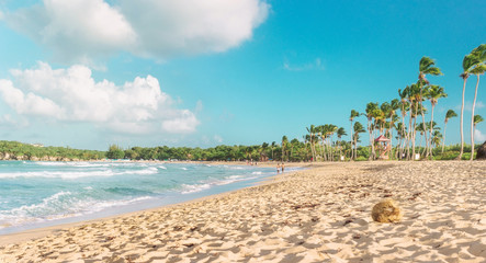 Tropical coastline. Macao beach, Dominican Republic, Punta Cana.