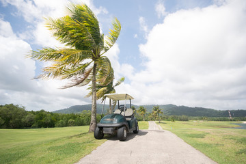 Golf carts on a golf course with coconut tree 
