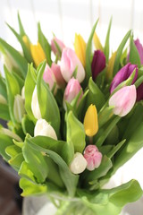 bouquet of tulips