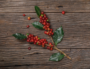 Fototapeta na wymiar Organic Coffee Beans with Coffee Leaves on wooden background