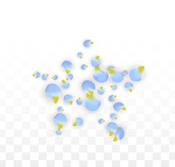 Vector Realistic Blue Petals Falling on Transparent Background.  Spring Romantic Flowers Illustration. Flying Petals. Sakura Spa Design. Blossom Confetti.