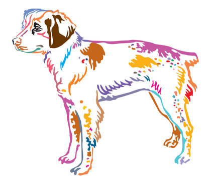 Colorful decorative portrait of Brittany Dog vector illustration