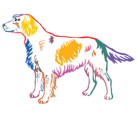 Colorful decorative portrait of Small Munsterlander Dog vector illustration