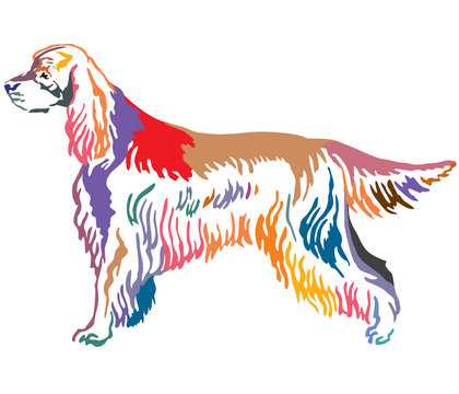 Colorful decorative portrait of Dog Gordon Setter vector illustration